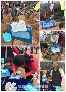 碧桂園植樹節(jié) 佩悅傳媒以專業(yè)公關(guān)策劃，賦能綠色品牌行動(dòng)