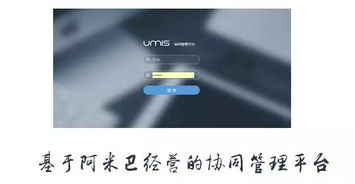 上?；ヂ摼W軟件集團 高端協同管理軟件與咨詢服務領軍者